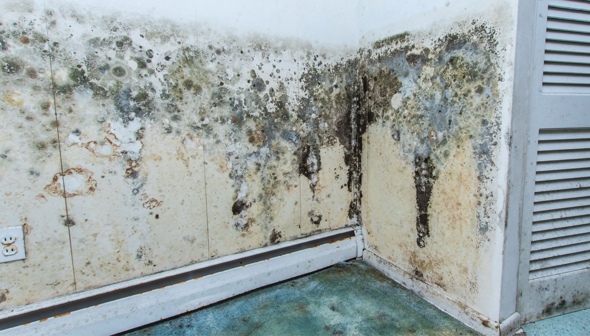Mold-Damager-Odor-Control in Santa Rosa Beach
